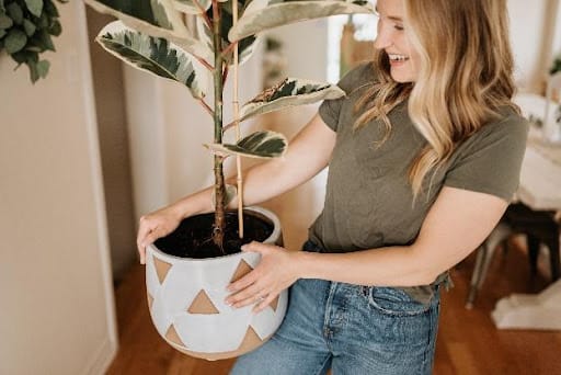 5 Ways to Incorporate Nature Into Any Living Space for Better Emotional Health
