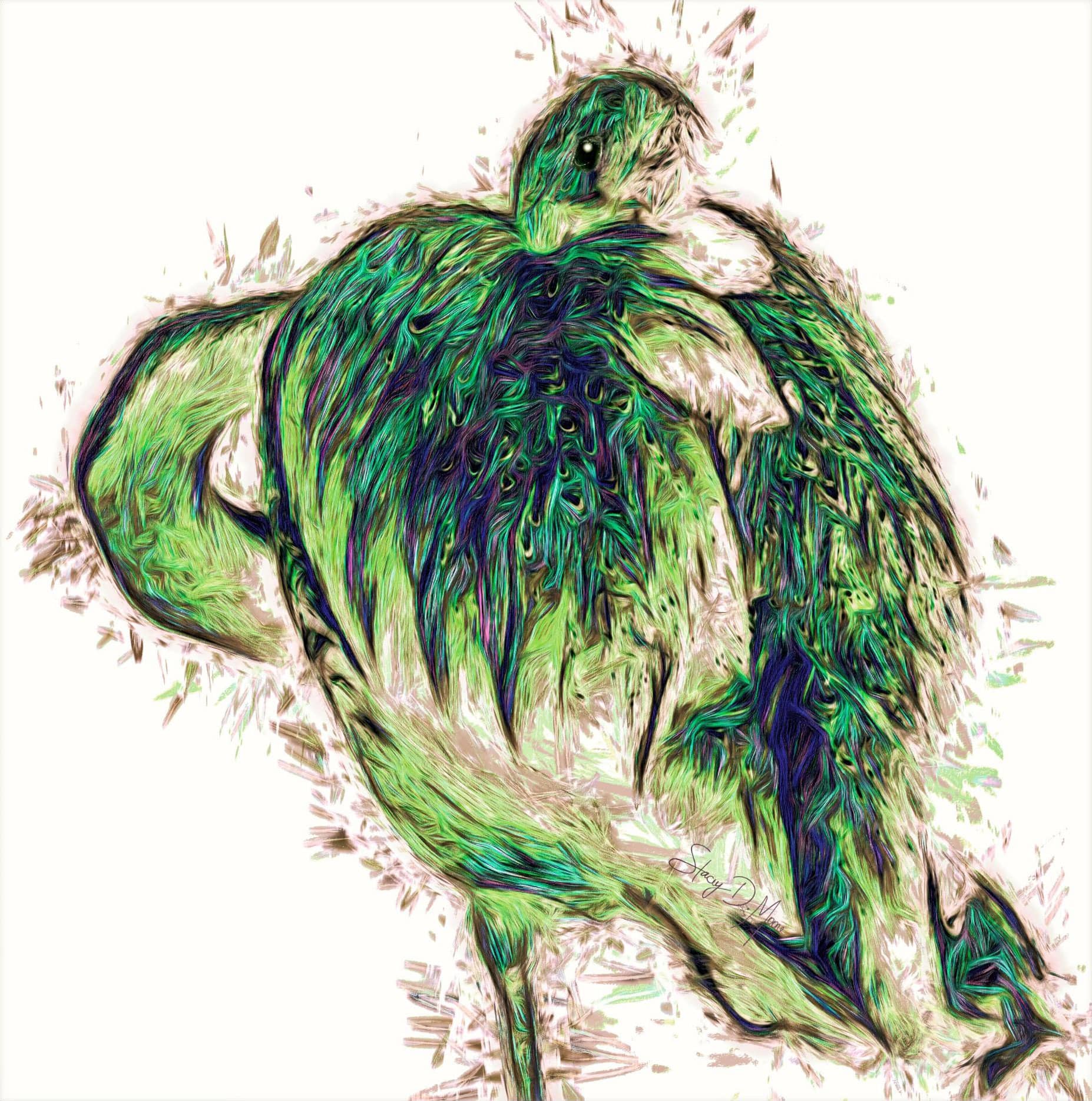 image7